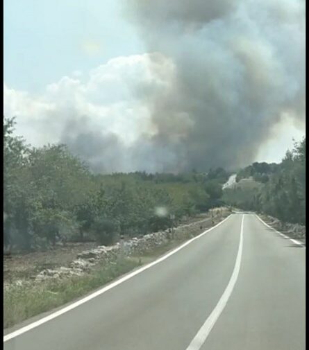 Incendio via Bisceglie e Castel del Monte