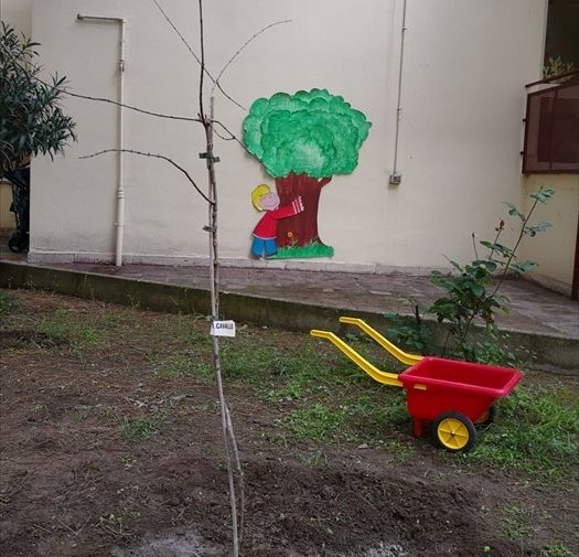 Festa dell'albero alla Scuola dell'infanzia "V. Saccotelli"
