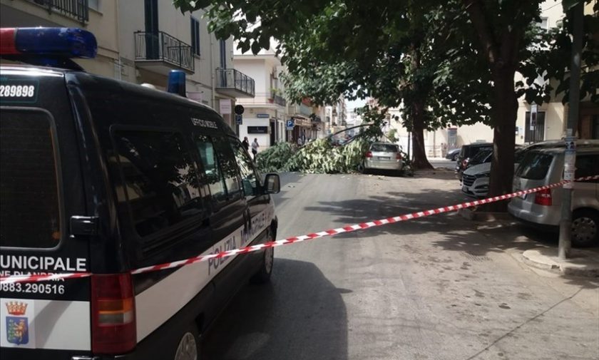 Ramo d'albero cade su auto in via Bari