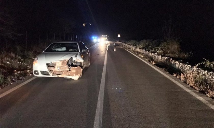 Incidente sulla strada per Castel del Monte: auto investe grosso cinghiale