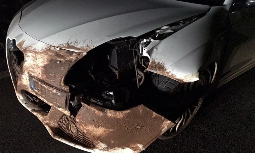 Incidente sulla strada per Castel del Monte: auto investe grosso cinghiale