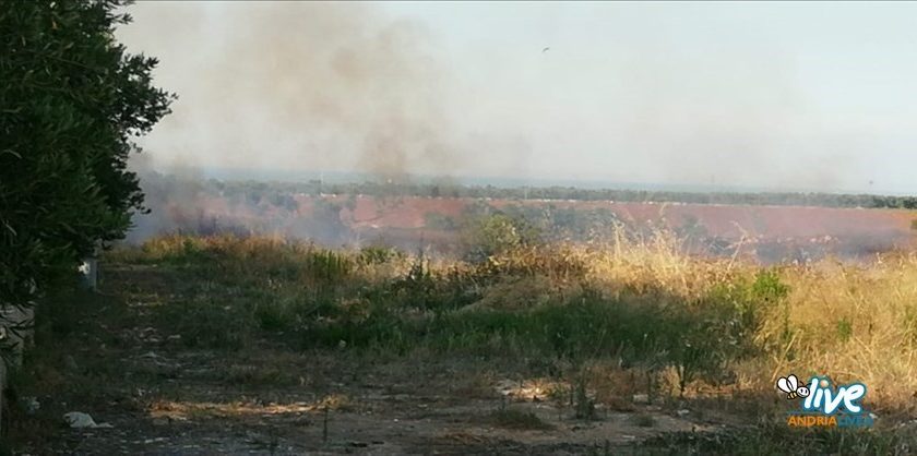 Sterpaglie a fuoco sull'Andria-Bisceglie nei pressi del campi di Fuzio