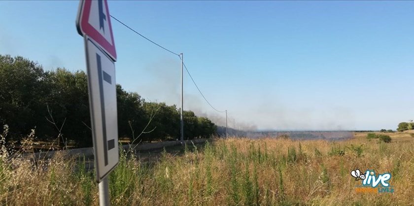 Sterpaglie a fuoco sull'Andria-Bisceglie nei pressi del campi di Fuzio